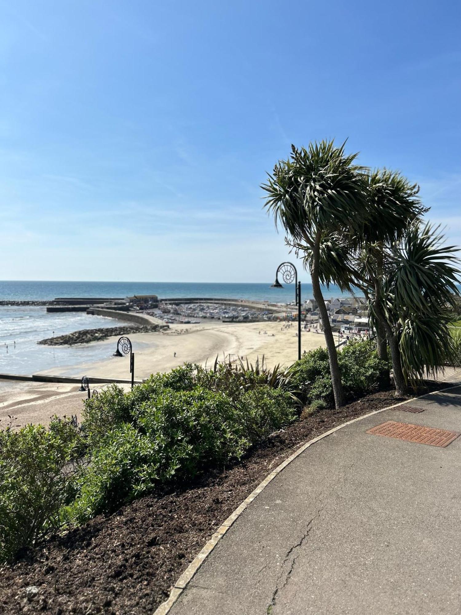 Lucerne B&B Lyme Regis Ngoại thất bức ảnh